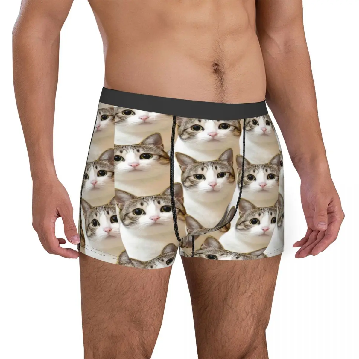 Cute Cats 3D Print Men Funny Cat Underwear Cute Kitty Hot Boxer Shorts Panties Male Soft Underpants Boxers Pack Print Polyester