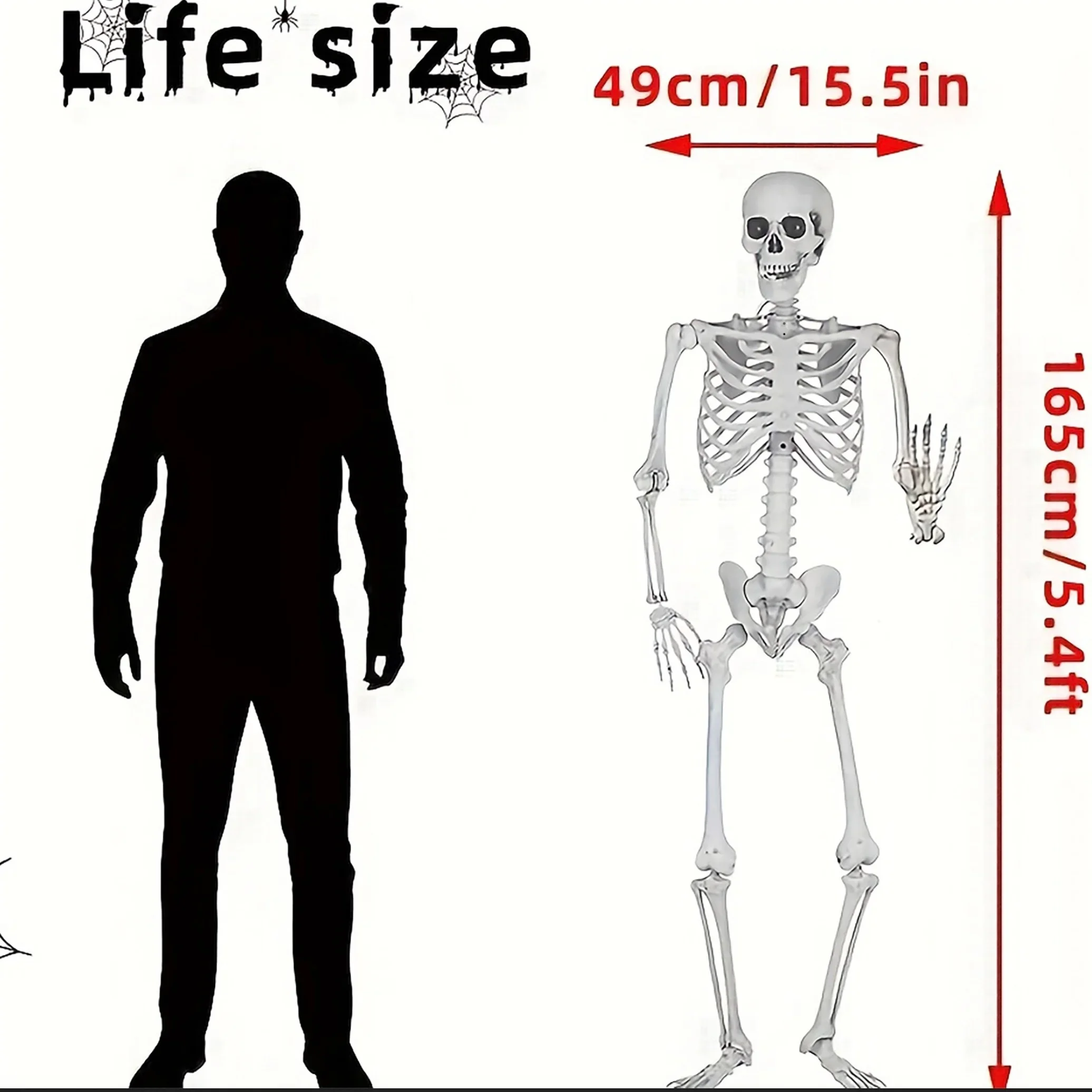 165 سنتيمتر زينة الهالوين الهيكل العظمي Posable شكل الإنسان الهيكل العظمي النحت مهرجان المنزل زينة الحفلات ديكورات منزل مسكون