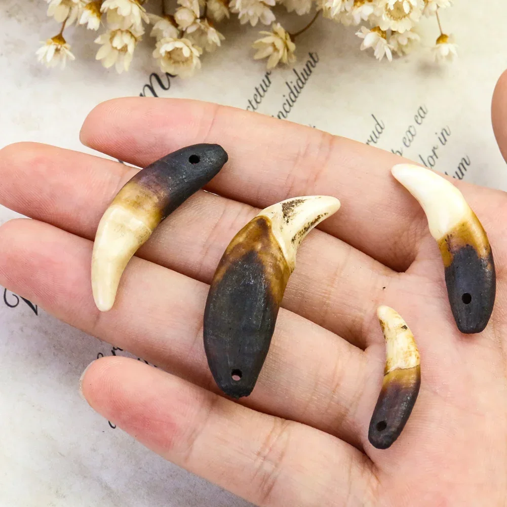 2pcs Original Raw Teeth Unbleached Animal Fangs Necklace Pendant Accessories DIY Peace Amulet Decorative Matching Materials