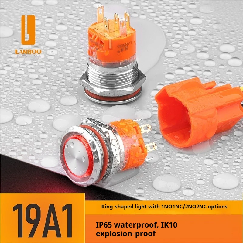 LANBOO 19mm ring Metal Push Button Switch Stainless Steel 1NO1NC/2NO2NC 12V 24V 220V Latching Momentary