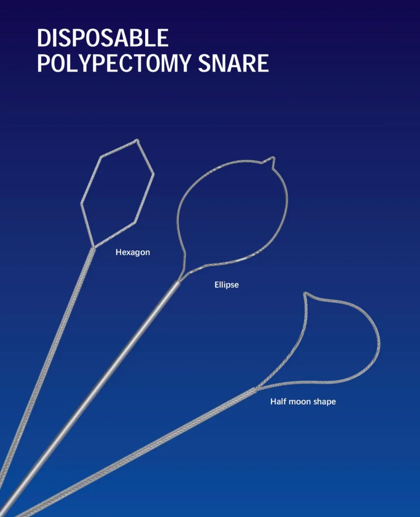 DISPOSABLE POLYPECTOMY SNARE, Digestive Endoscopy Diagnosis Accessories