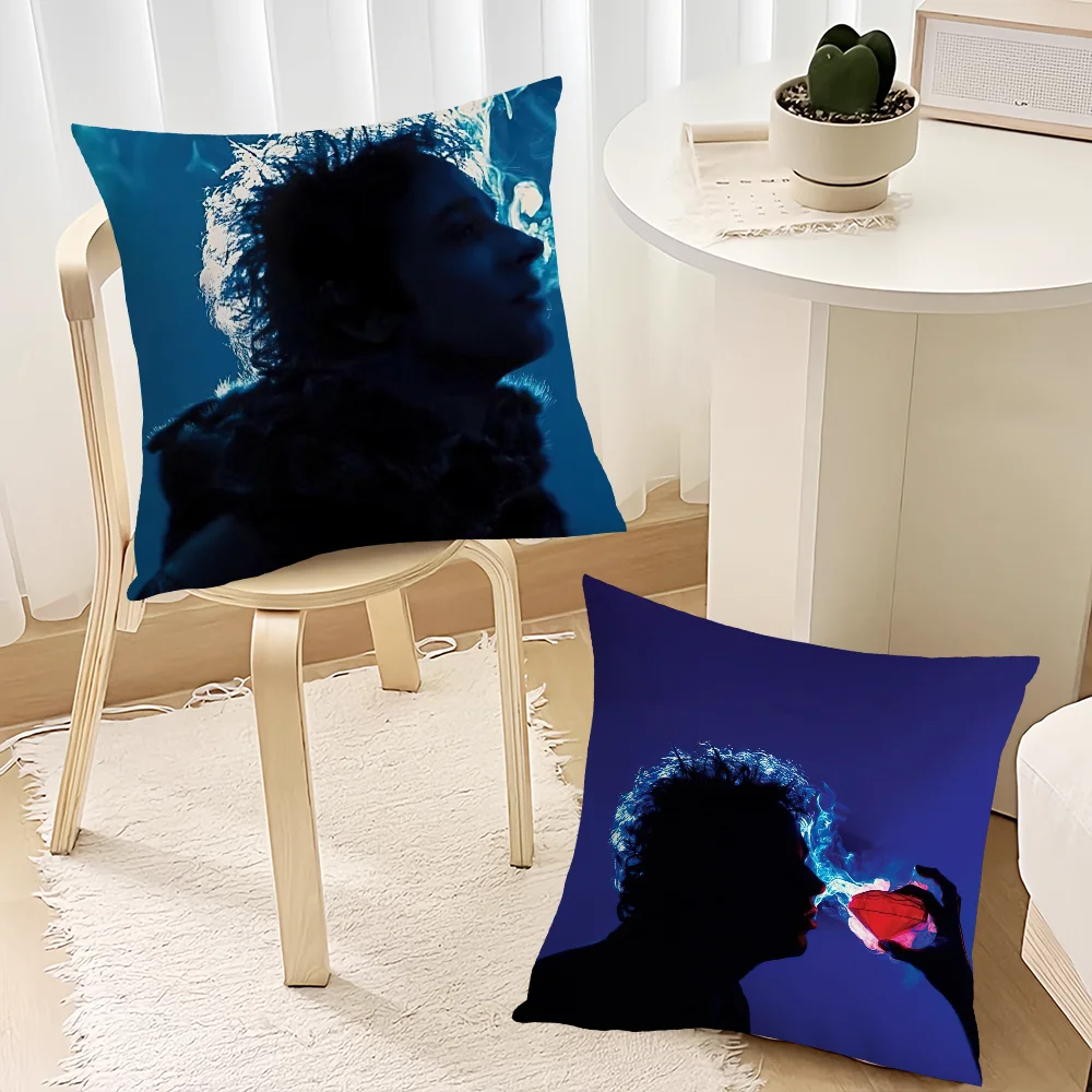 Singer G-Gustavo C-Cerati cushion cover Living Room Accent Couch Back Support Square Lounge Restful Nap Companion Pillow Case