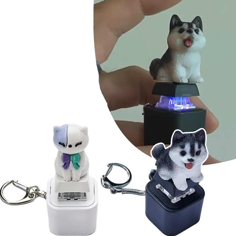 

Keyboard Fidget Keychain, Cat Fidget Toy Can Make Cat Sounds Keychain, Rechargeable Stress Reliever With Lights