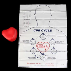 1PCS Mini Heart-Shaped First Aid Training Rescue Teaching Tool Body Medical Dummy Cpr Nursing Manikin Model Training Model