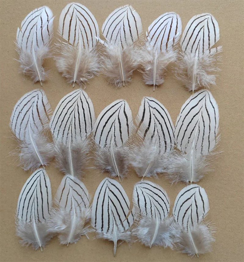 

Silver Pheasant Plumage Feathers for Craft Millinery Fly Fishing Mask Headdress,7-10cm long,100Pcs Per lot