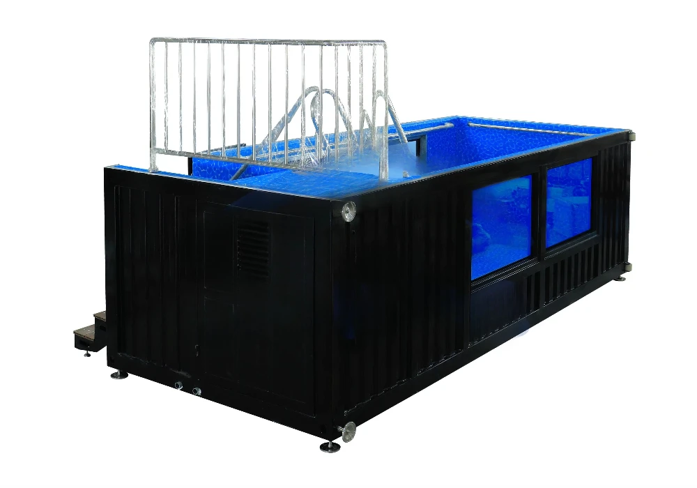 Piscina per contenitore per spedizione nel cortile familiare in fibra di vetro per esterni Piscina per piscina prefabbricata da 20 piedi 40 piedi