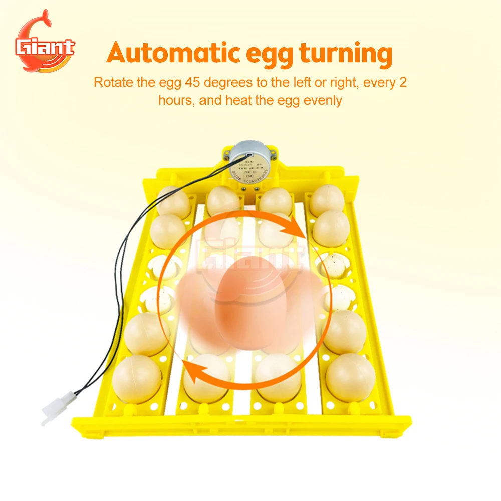 

110V/220V Eggs Incubator Automatic Rotating Incubation Equipment Small Incubator Accessories Temperature Control Incubation Tool