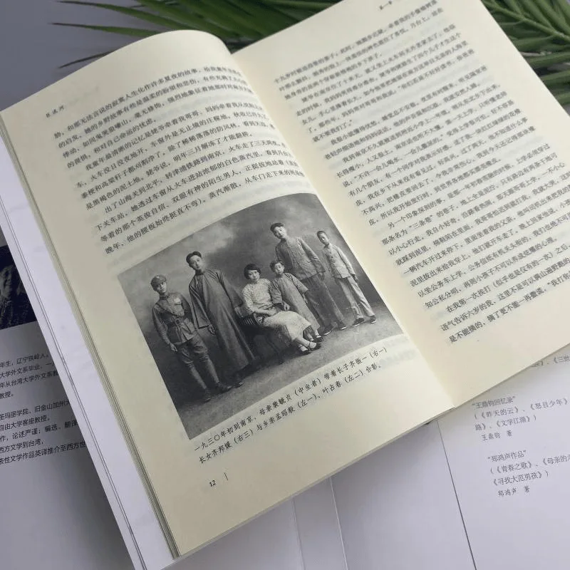The Great River by Qi Bangyuan Original Taiwan Edition Sanlian Bookstore A Chronicle of Modern China's Suffering Resilience