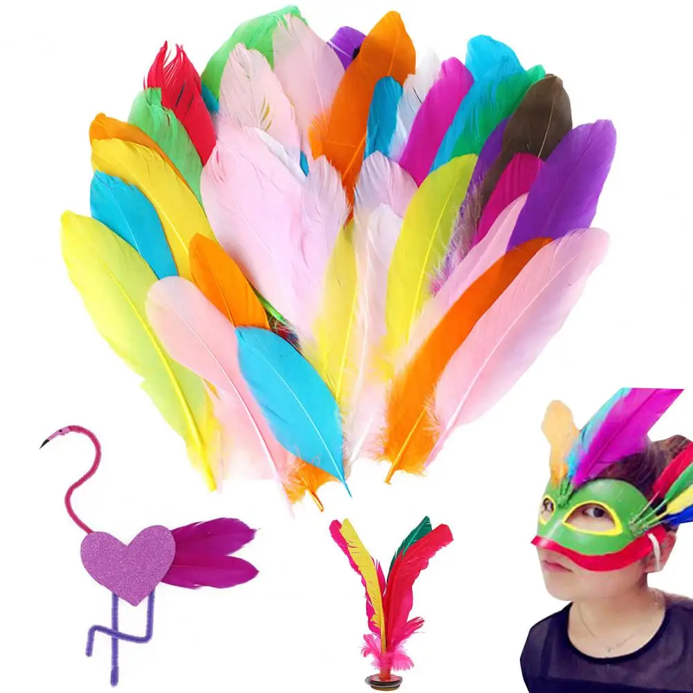 

50Pcs/Set Colorful Natural Feathers Kids Adults DIY Feather Crafts Dream Catcher Home Party Decorations Real Feather Kit