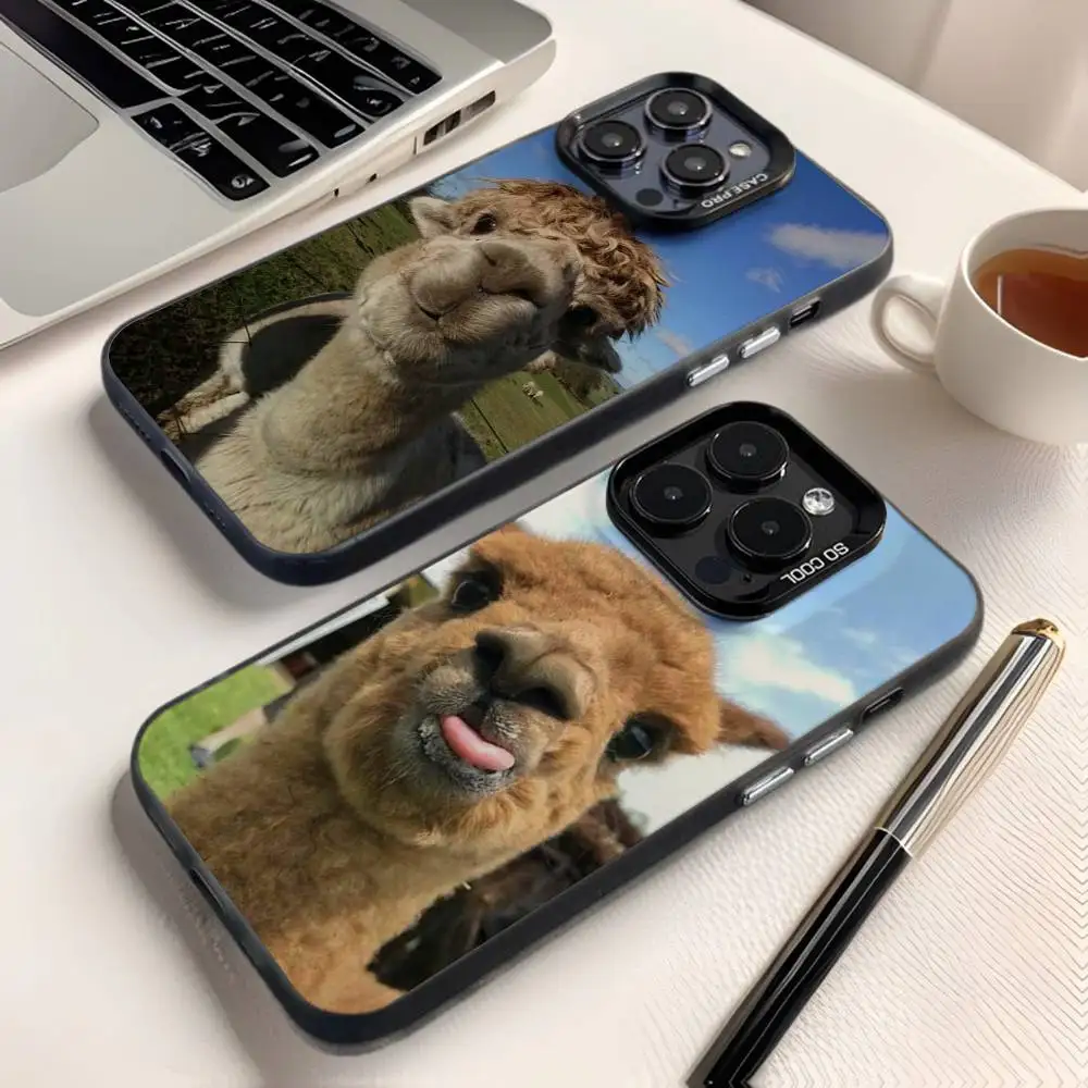 

Lama Llama Alpaca Phone Case For iPhone 17,16,15,14,13,12,X,8,Pro,Max,Plus,E,SE4,Air,Mini IMD Matte Black