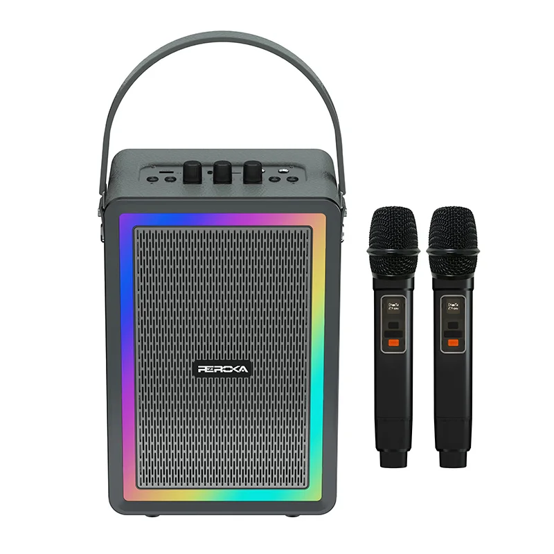 

4 Inch Stereo Sound System Professional Audio Bass Box Daul Microphone Karaoke Machine for Party Activities