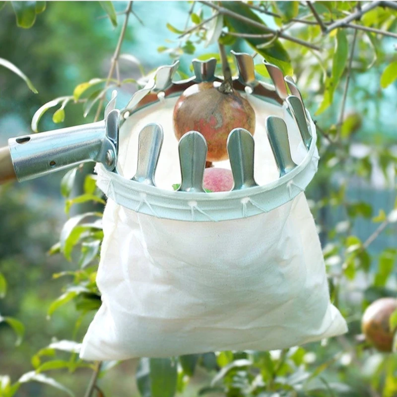 Metall Obstpf lücker für hohen Baum Obstgarten Apfel Pfirsich Picker landwirtschaft lichen Garten Hardware Werkzeuge Obst fänger Hardware Werkzeuge