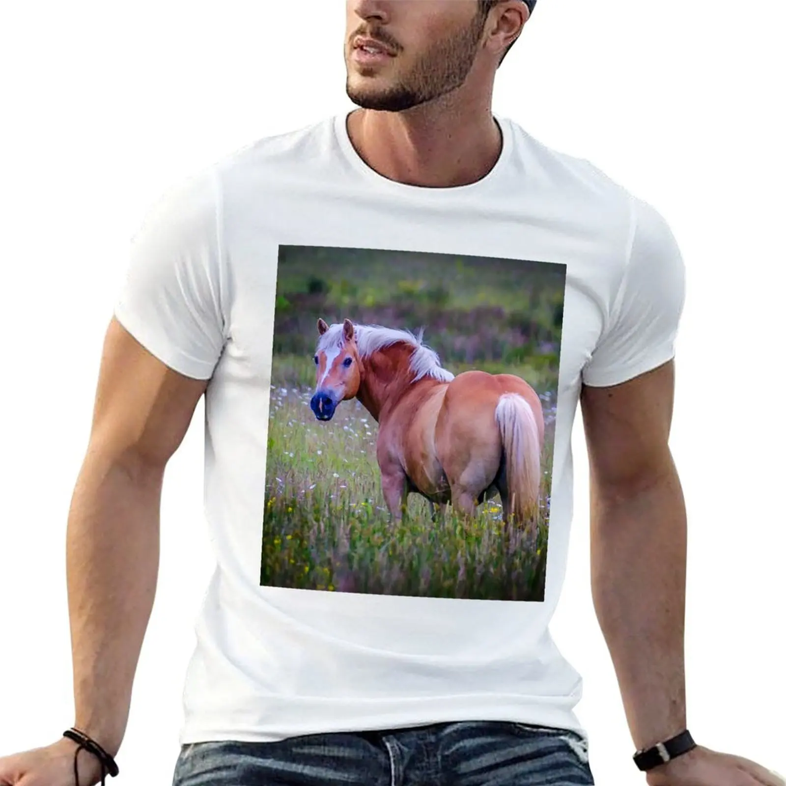 

Horse beauty! T-Shirt cotton t shirts high quality cotton t shirt man funny t shirts man T-shirt