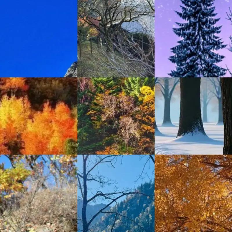 

USB HUB 3.0 Docking Station for Microsoft Surface Pro 6/5/4 to USB3.0 Port HDMI-compatible SD/TF Reader Splitter Adapter