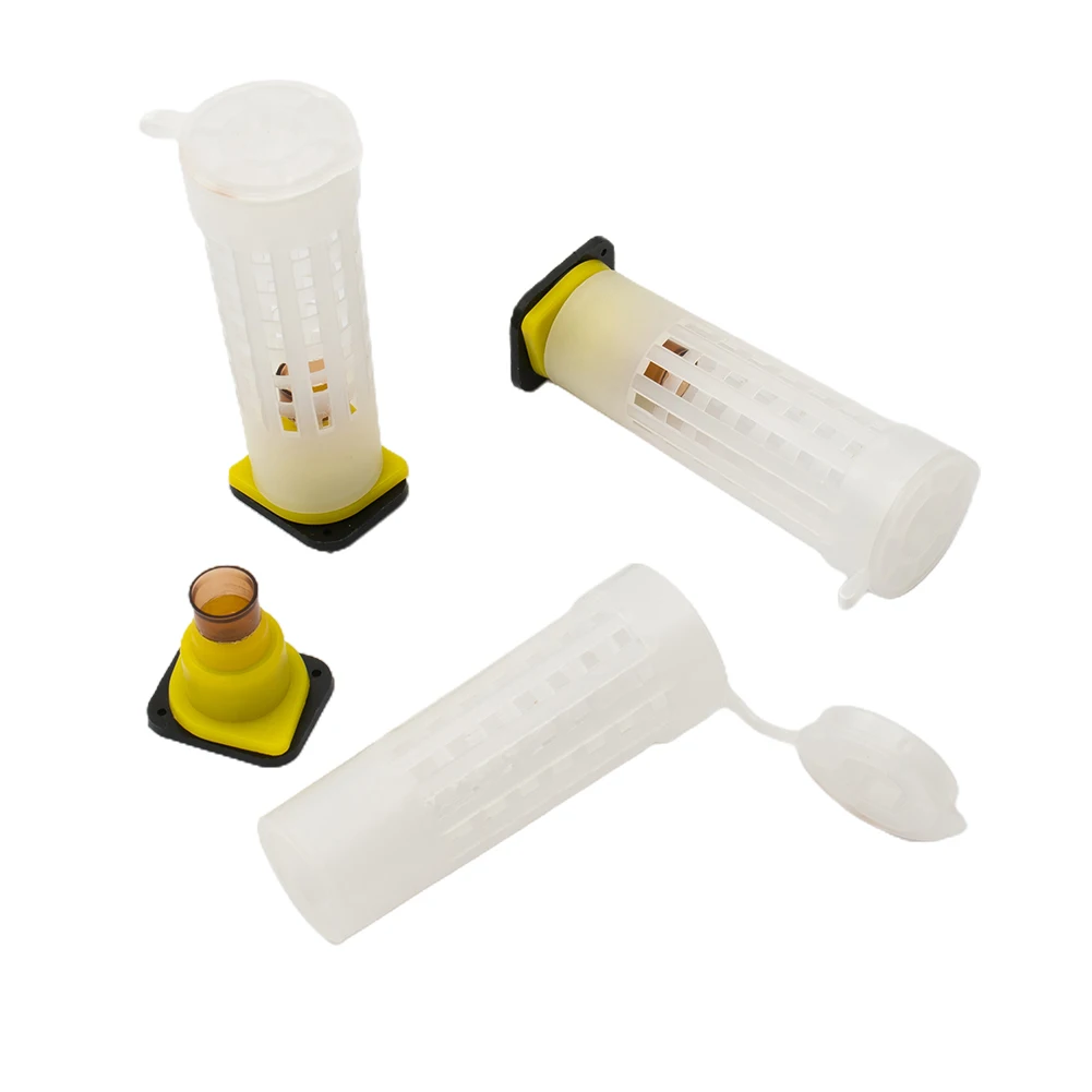 Complete Box Cage Kit for Bee Queen Rearing with Plastic Cell Cup Set to Support Egg Laying and Larvae Growth in Colonies