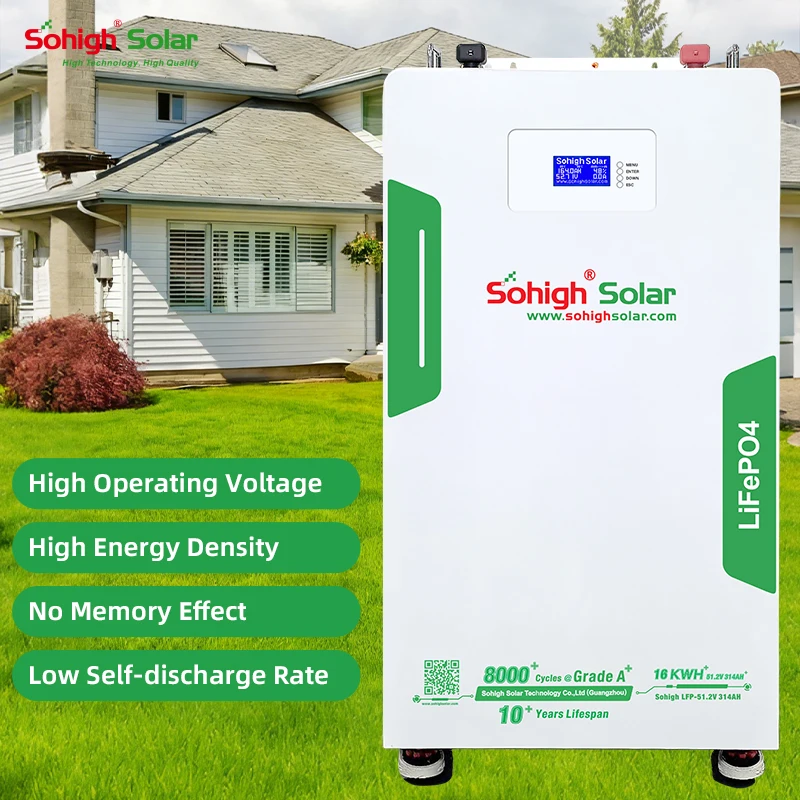 Simple Monitoring LiFeP04 51.2V Lithium 16kwh Batteries Low Self-discharge Rate Rechargeable Grade A Battery
