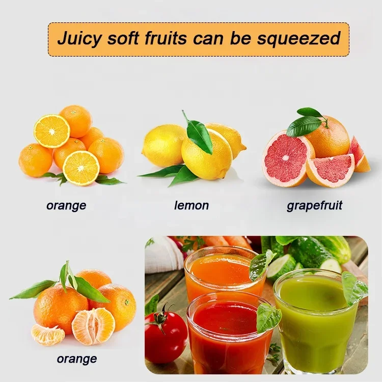 Commercial Fruit Juicer Machine/ Industrial Electric Orange Juicer/ Portable Juice Extractor