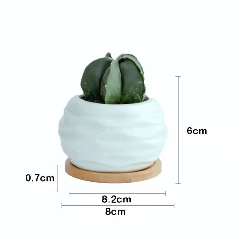 Luxury Modern Mini Ceramic Succulent Plant Pot with Bamboo Tray Decorative Indoor Garden Planter