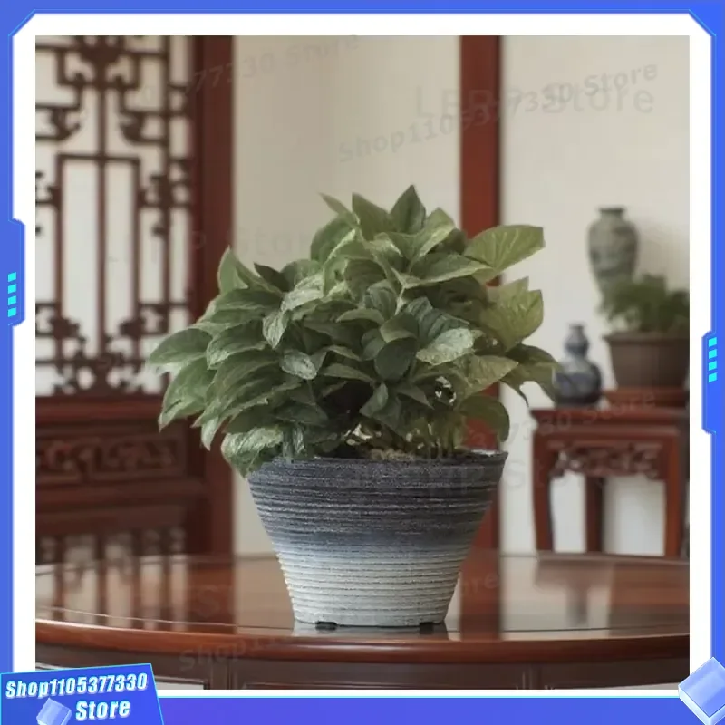 2025 New Chinese Style Round Plastic Bonsai Pot Durable Simple Flower Pot Lightweight Eco Friendly Garden Decoration Planter