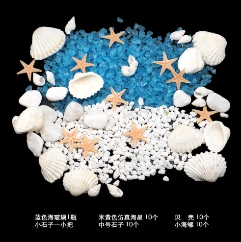 

1Set Ocean DIY Material Seashell Conch for Home Decor Resin Art Office Crafts Sand DIY Crafts Art