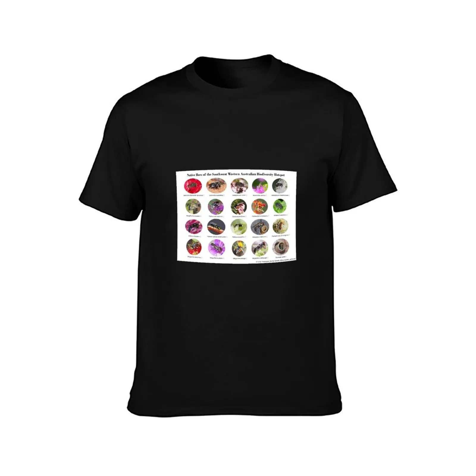Native Bees of the Southwest Western Australian Biodiversity Hotspot T-Shirt Industrial Work Tee Shirt T-Shirt