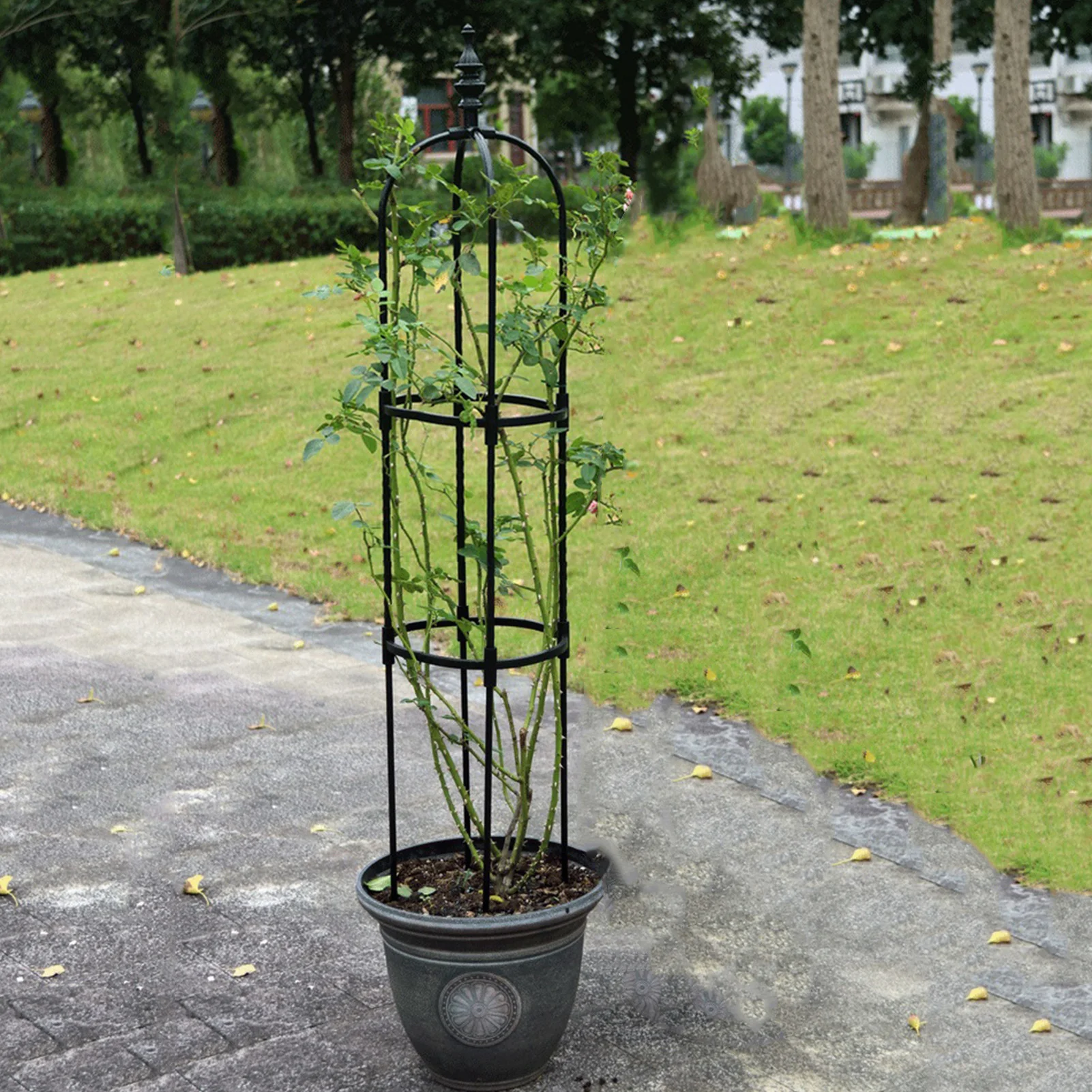 1PC Iron Garden Obelisk Climbing Plant Flowers Steel Frame Trellis Vines Floral Decor Yard Round Weather-Proof Iron Brand