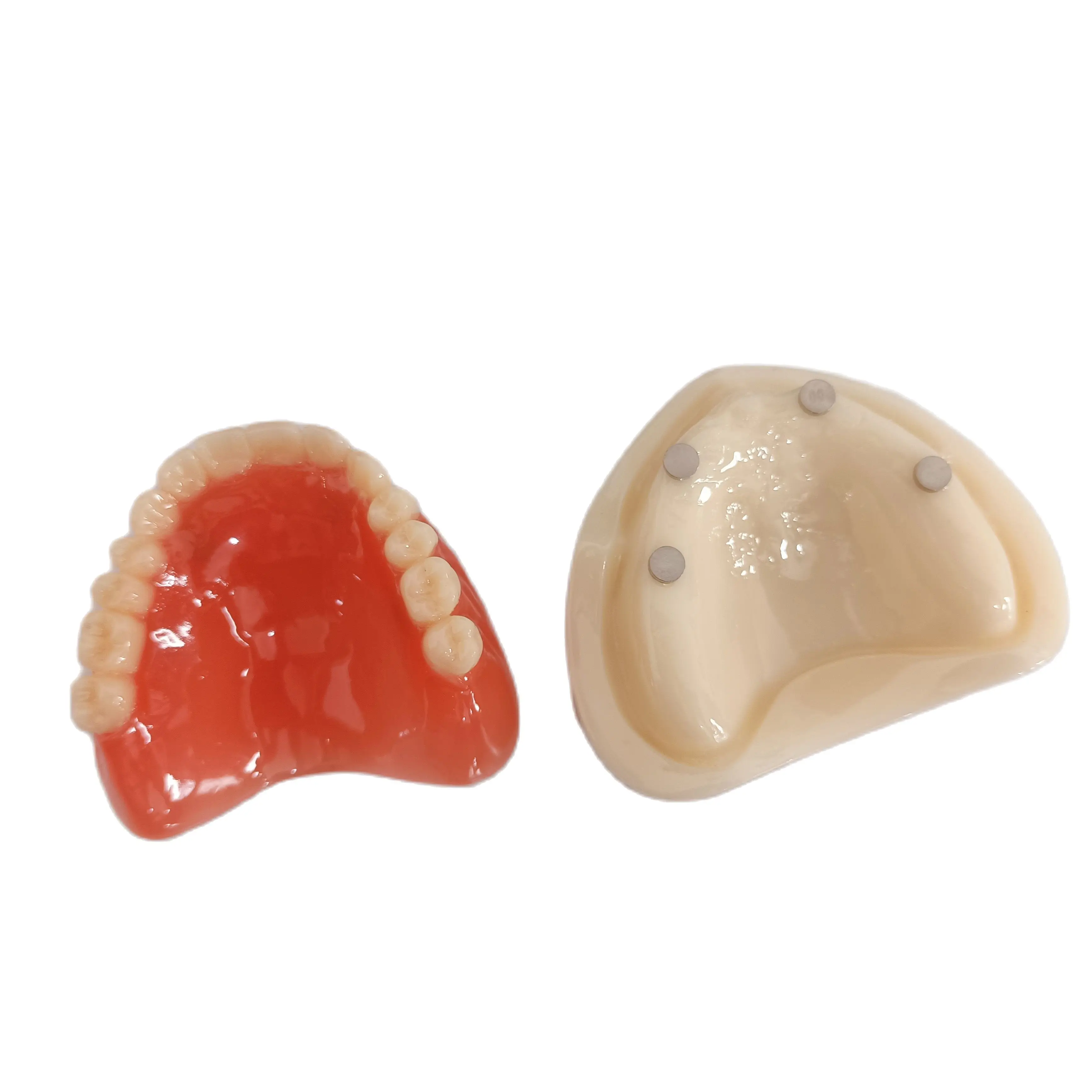 Dental Model Full Denture Magnetic Upper Attachment Maxillary Study Magnet Teeth