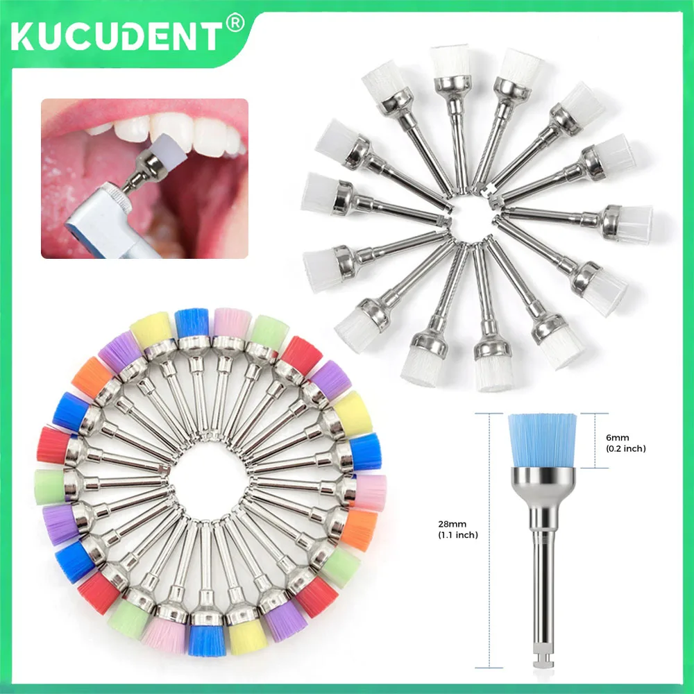 

20Pcs Dental Prophy Brushes Disposable Latch Type Mixed Color Nylon Polishing Polisher for Stain Removal Teeth Whitening Dentis