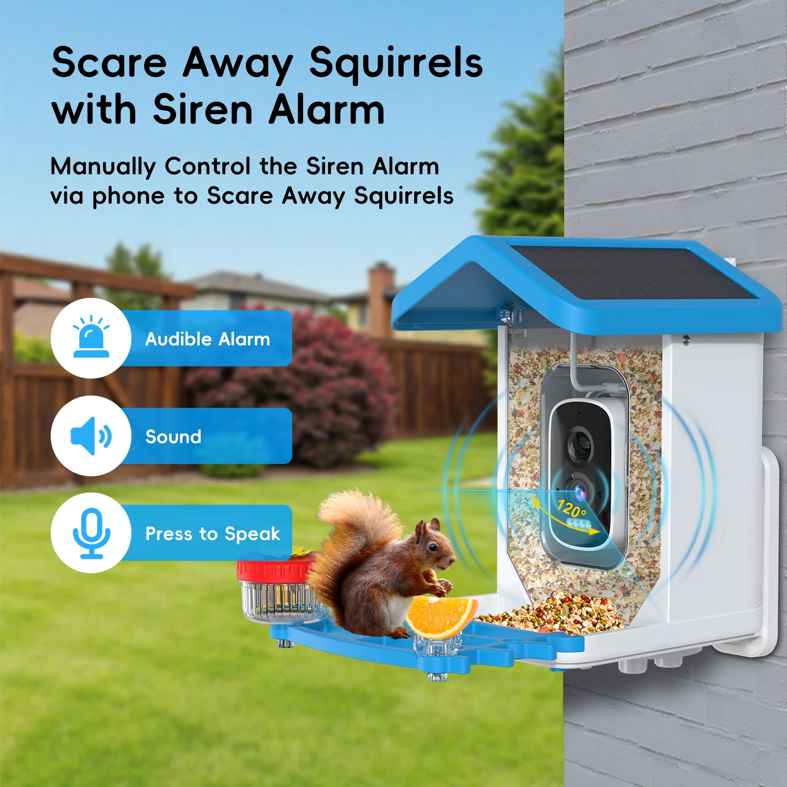 Солнечная камера-кормушка для – обзор и цена Smart Bird Feeder Camera