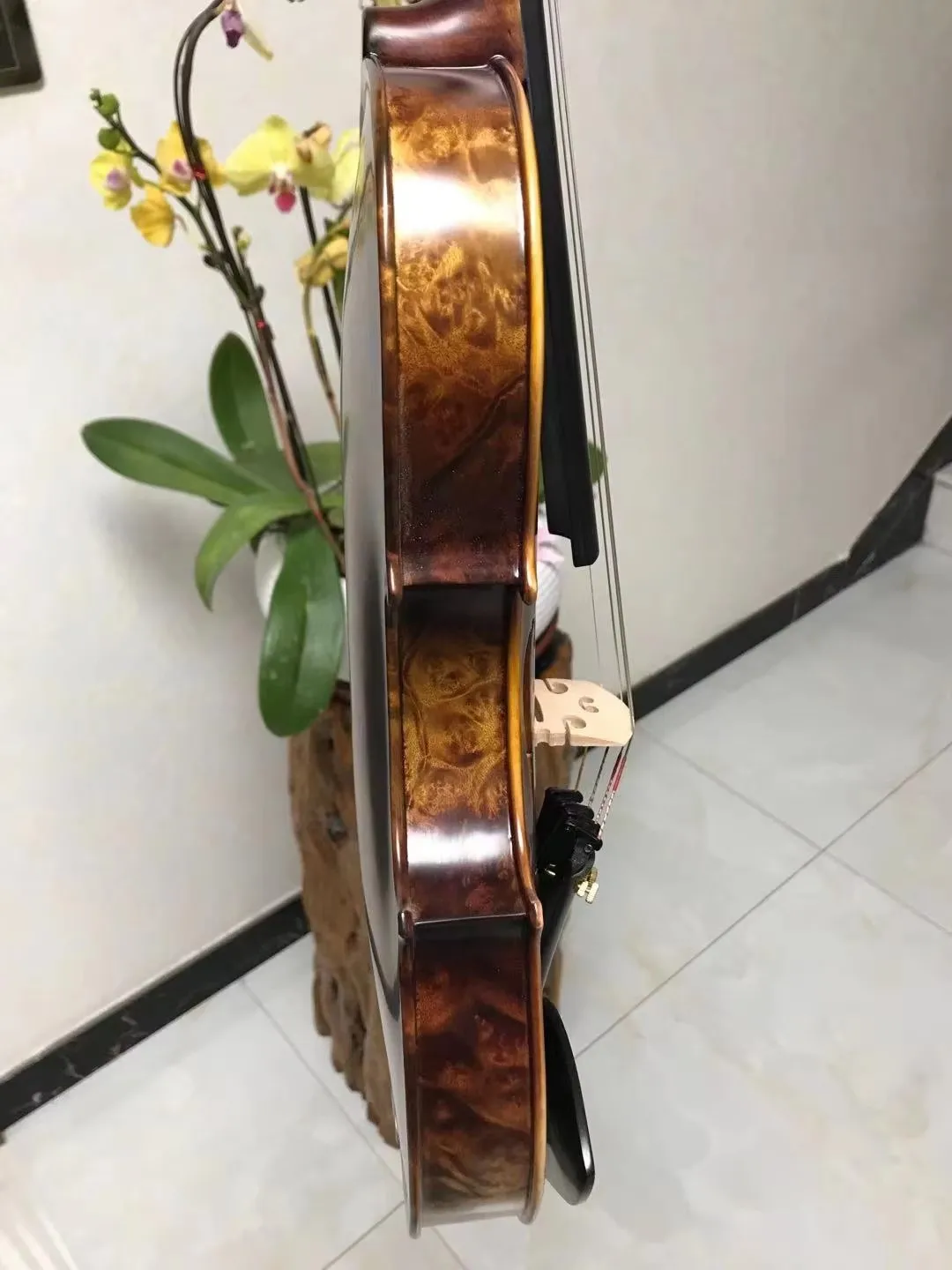 Hard Violin 4/4 SONG Brand Master,well-knit Brid's Eye Curly Maple Wood Back nice Inlay Shell #12139