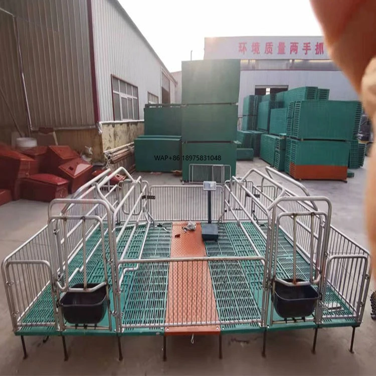 

Новое удобное оборудование для содержания свиней из нержавеющей стали, с высокой несущей способностью, с горячим цинкованием, для использования на животноводческих фермах