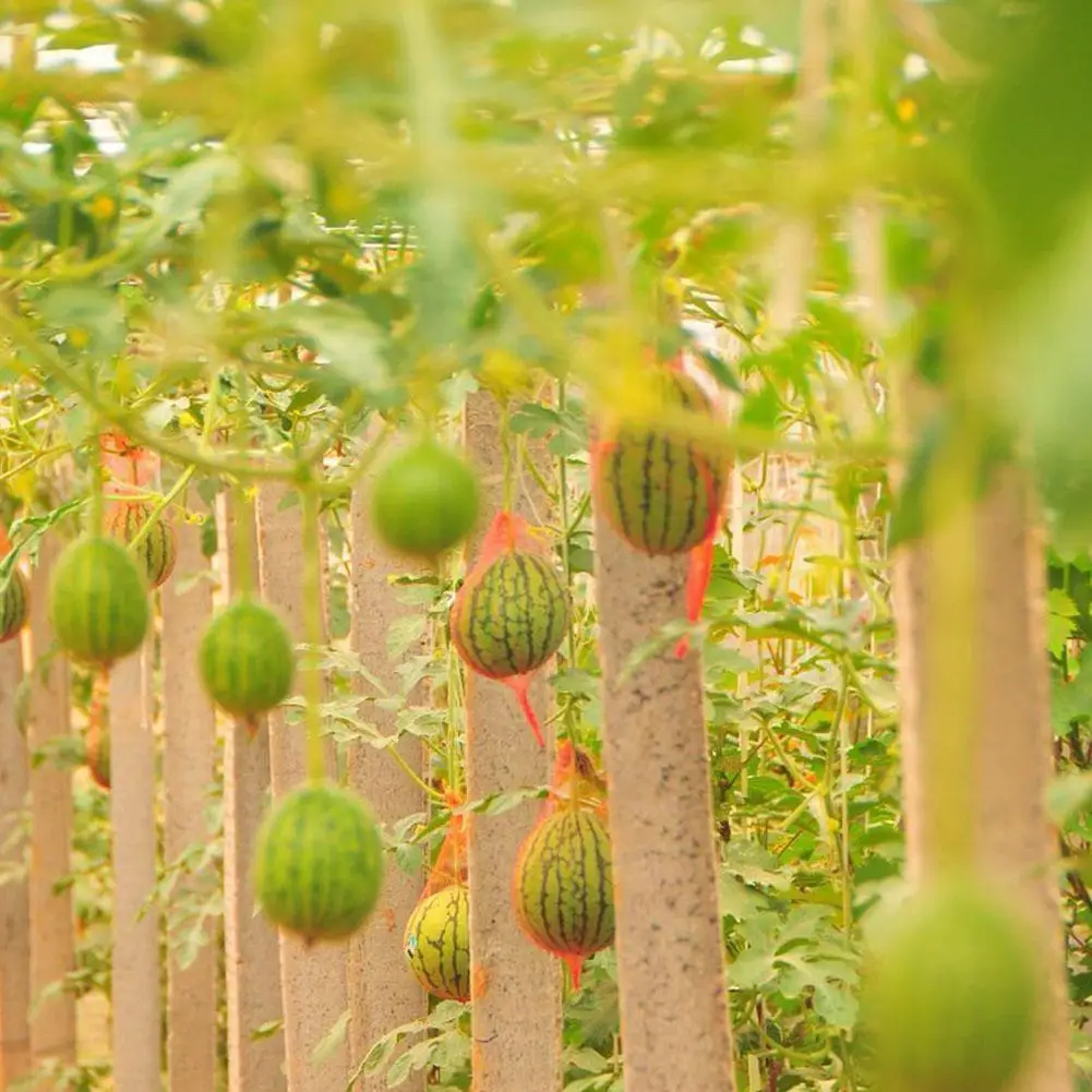 Net Bag Hanging Watermelon In Greenhouse With Thick Rope Hanging Melon Net Planting Hami Red Bag Bag Net Melon Protection S4X0