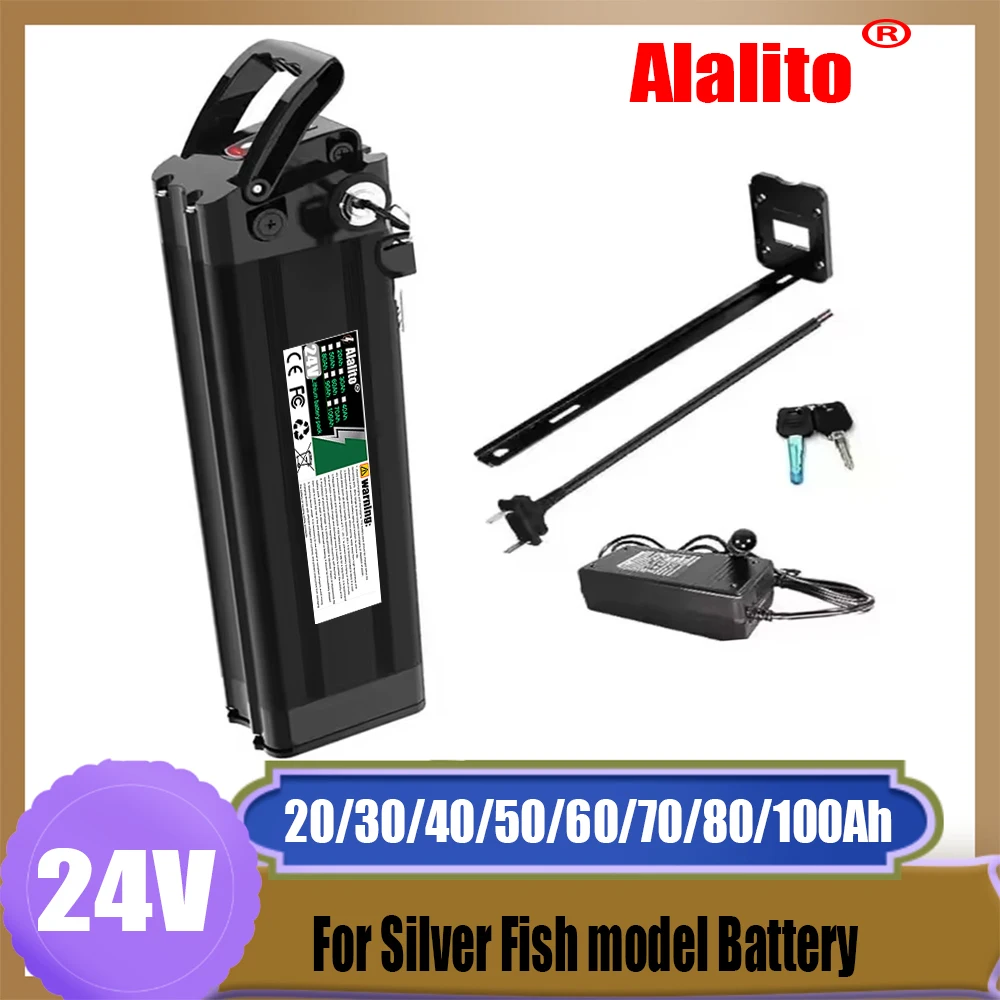 Air freight, suitable for folding power assisted bicycle Silver Fish model, 24V, 20Ah-100Ah lithium battery pack