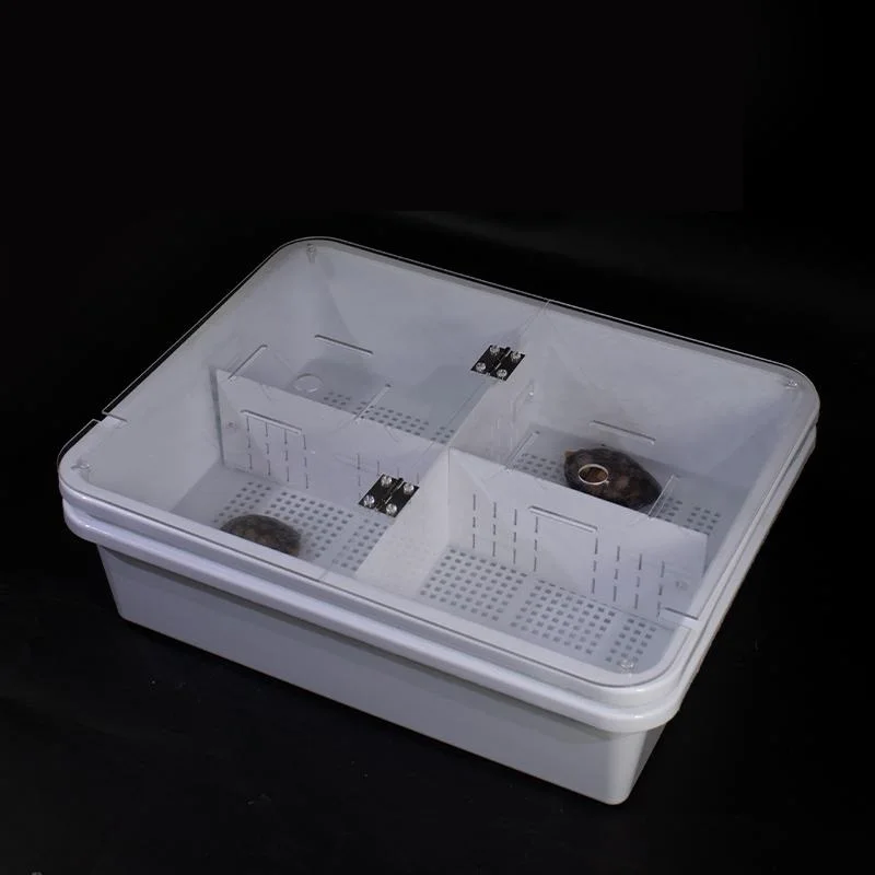 

Sea Turtle Hatching Isolation Box Sedimentation Box with Lid Feeding Box