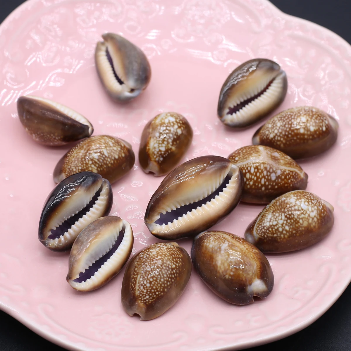 100G DIY Beads Brown SnailBead Without Hole Bathtub Landscaping For Jewelry Making DIY Clothes Accessory