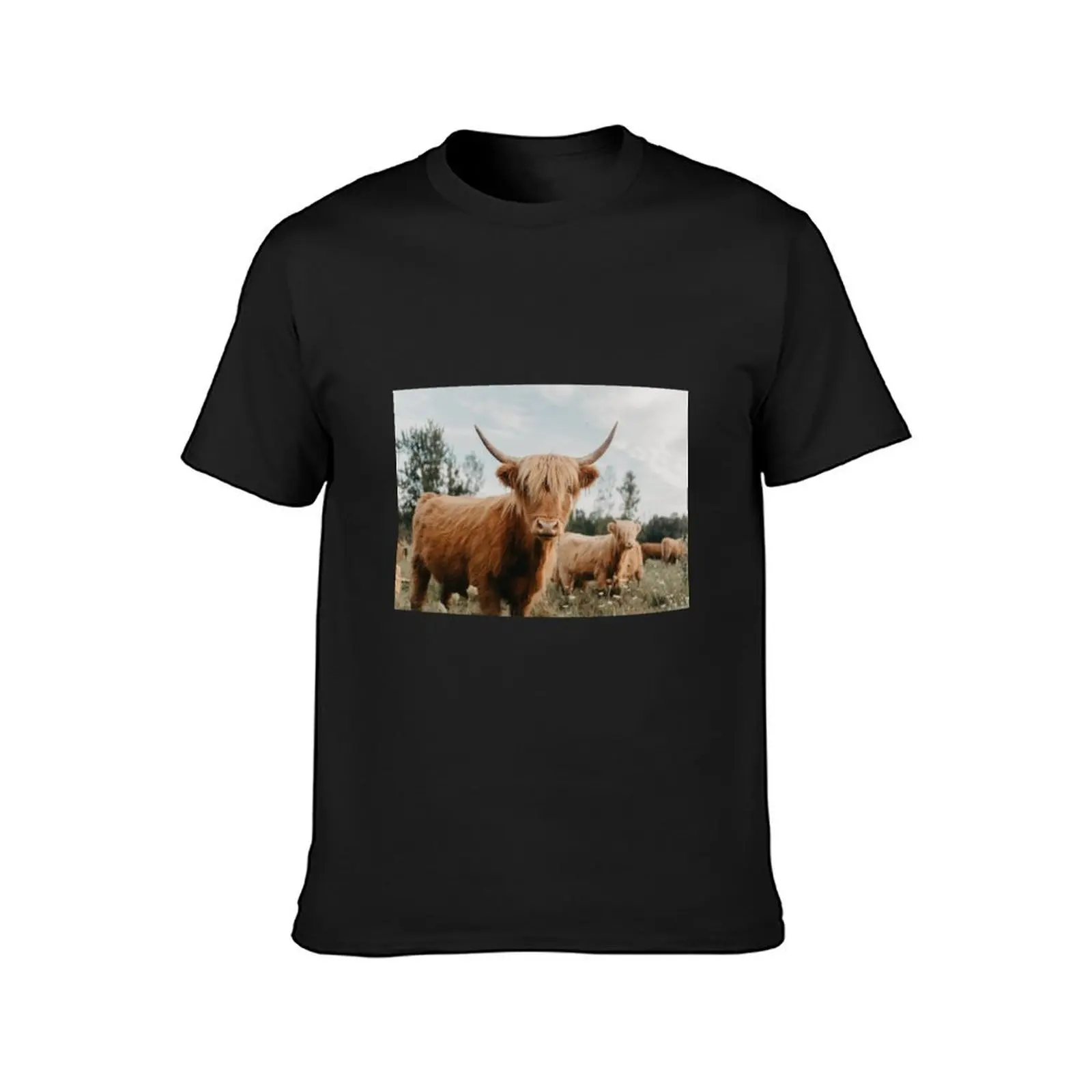 Curious Highland Cow T-Shirt customs funnys blanks blacks fitted t shirts for men