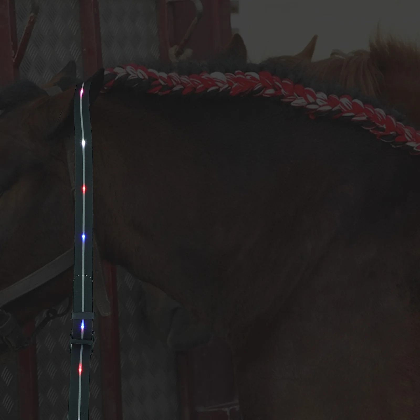 

Luminous Horse Collar Led Breastplate Strap For Equestrian Training High Visibility Waterproof Reusable Glowing Pulling Rope