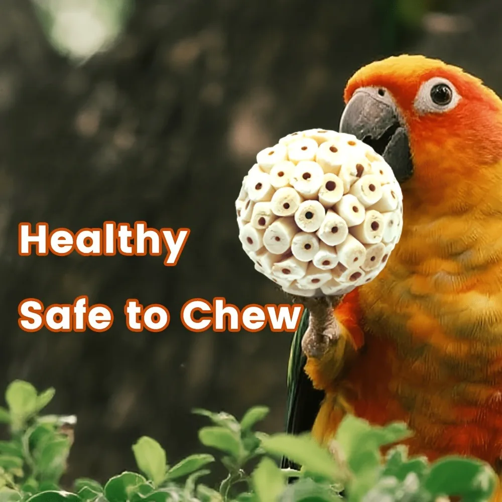 2PCS Bird Toys 2.36 Inch, Parrot Chewing & Foraging Toys, Beak Grinding Toys for Budgies, Parrots, Lovebirds and Small Birds view 3
