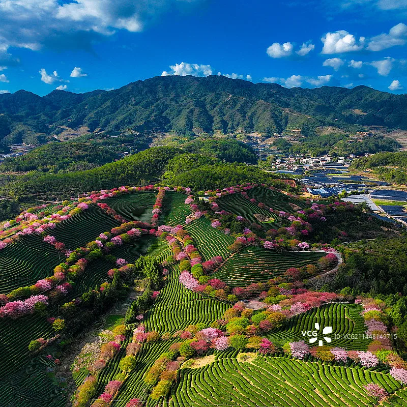 

HolyBro PM06D Power Module - 2-14S Digital, 5.2V 3A Output for Pixhawk 5X/6X FC, Pro FPV Drone Multicopter DIY Parts