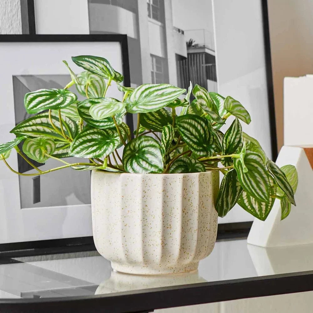 مزهرية أنيقة مضلعة من السيراميك مقاس 4.5 بوصة وعاء زهور أبيض كريمي للنباتات الداخلية وديكور منزلي متين