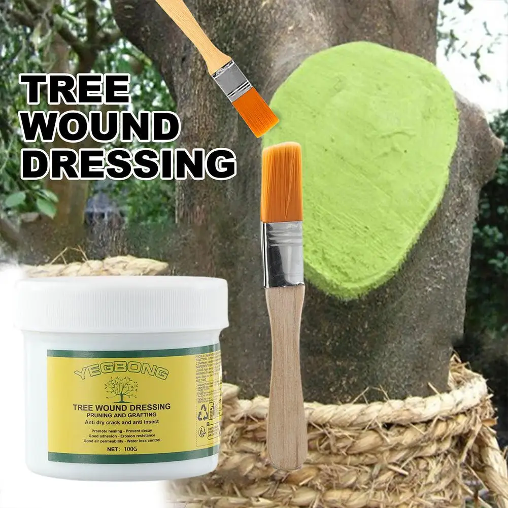 Healing Agent For Protective Tree Garden Tree Grafting Paste Tree Wound Dressing Pruning Sealer With Brush Bonsai Wound Age P8J0