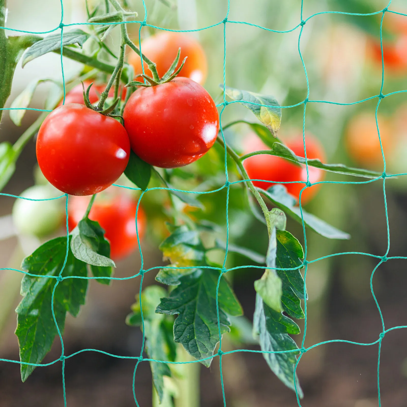 

Gardening Climbing Net Plant Support Trellis Netting Vine Plants Growing Straight Healthy Garden Decoration Vegetable Mesh