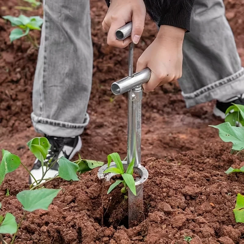 Garden Seedling Tra…