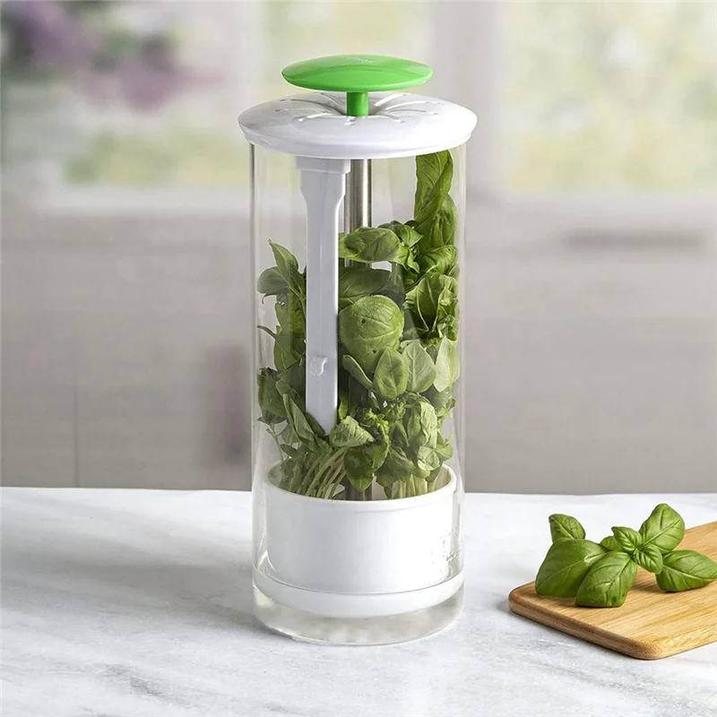 

AB39-Vegetable Herb Preservator Herb Coriander Fresh-Keeping Box Breathable Herb Storage Container