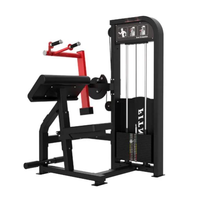 

Commercial Gym Fitness Equipment Bodybuilding Strength Trainer Seated Triceps Curl Triceps Extension for Sale