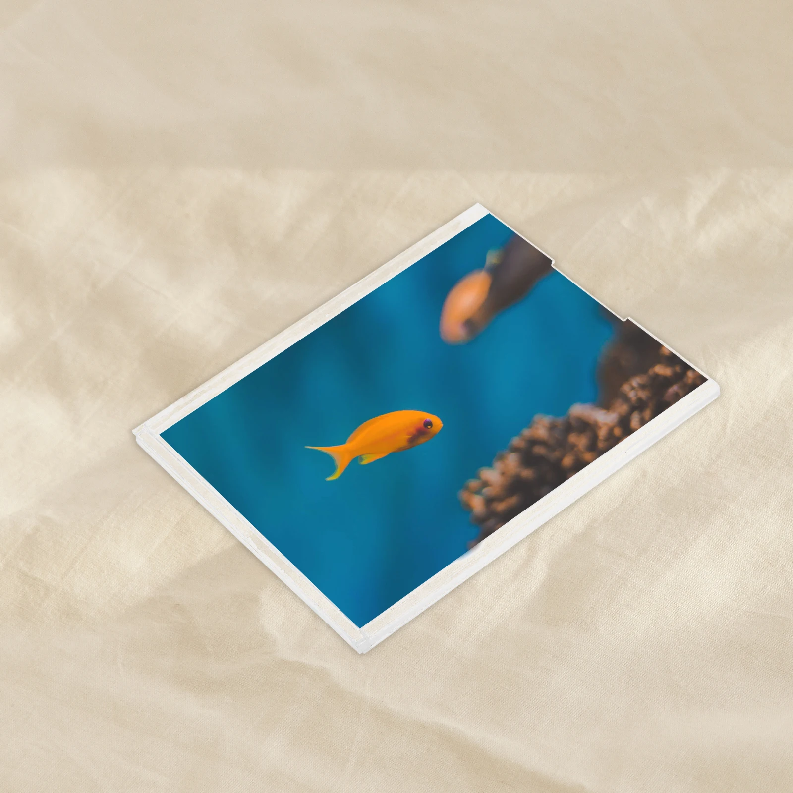 

4Pcs Clear Card Holders Acrylic Business Card Display Stand Durable Multi Functional Storage for Flyers and Documents