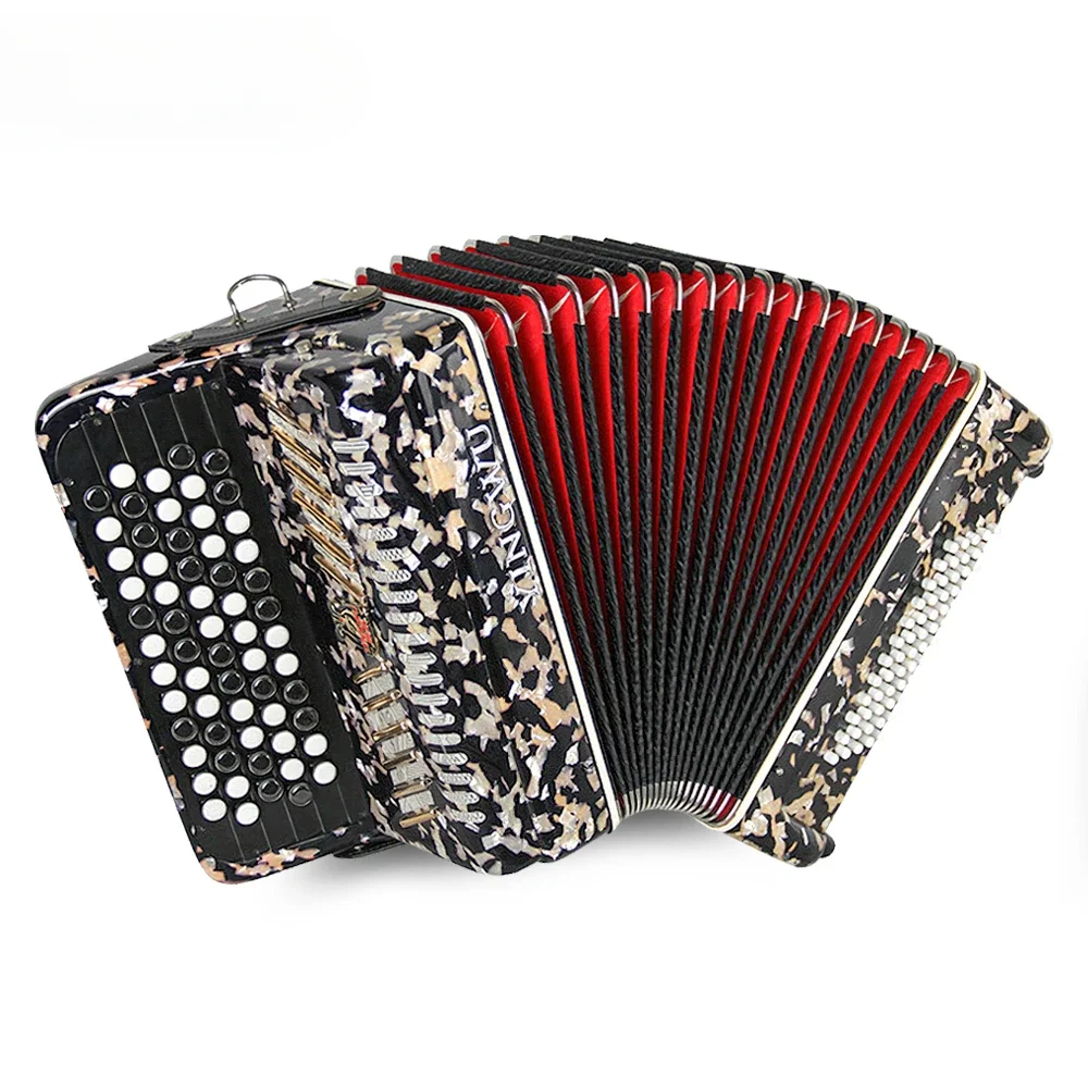 

62 Keys 60 Bass Diatonic Button Accordion Piano Musical Instrument for Beginner