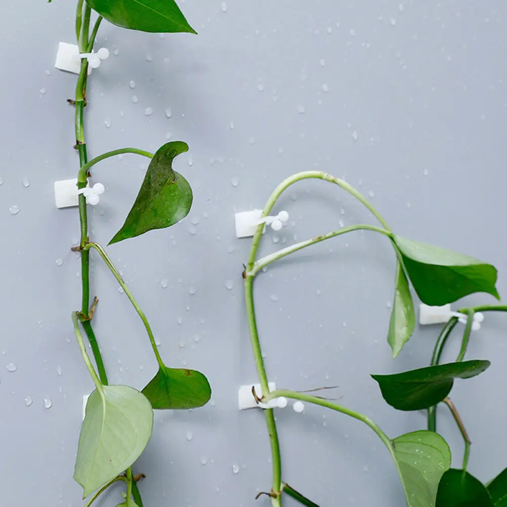 

50Pcs Gardening Fixture Tool Self-Adhesive Plant Holder Hooks for Climbing Plants Roses Green Vines Wall Support White