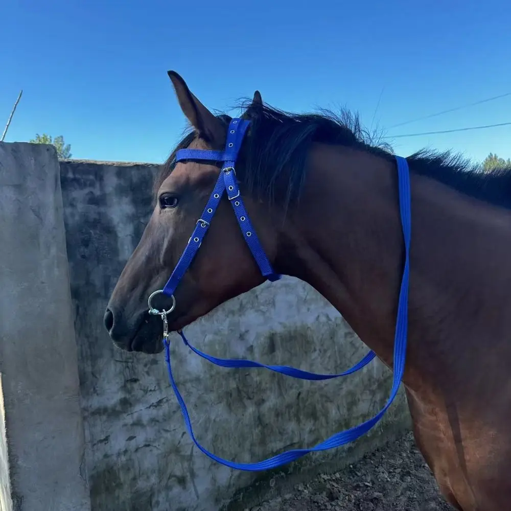 Thickened Horse Halters Adjustable Strap Comfortable Horse Neck Stretcher Horse Harness Three Colors Horse Bridle Training Rope