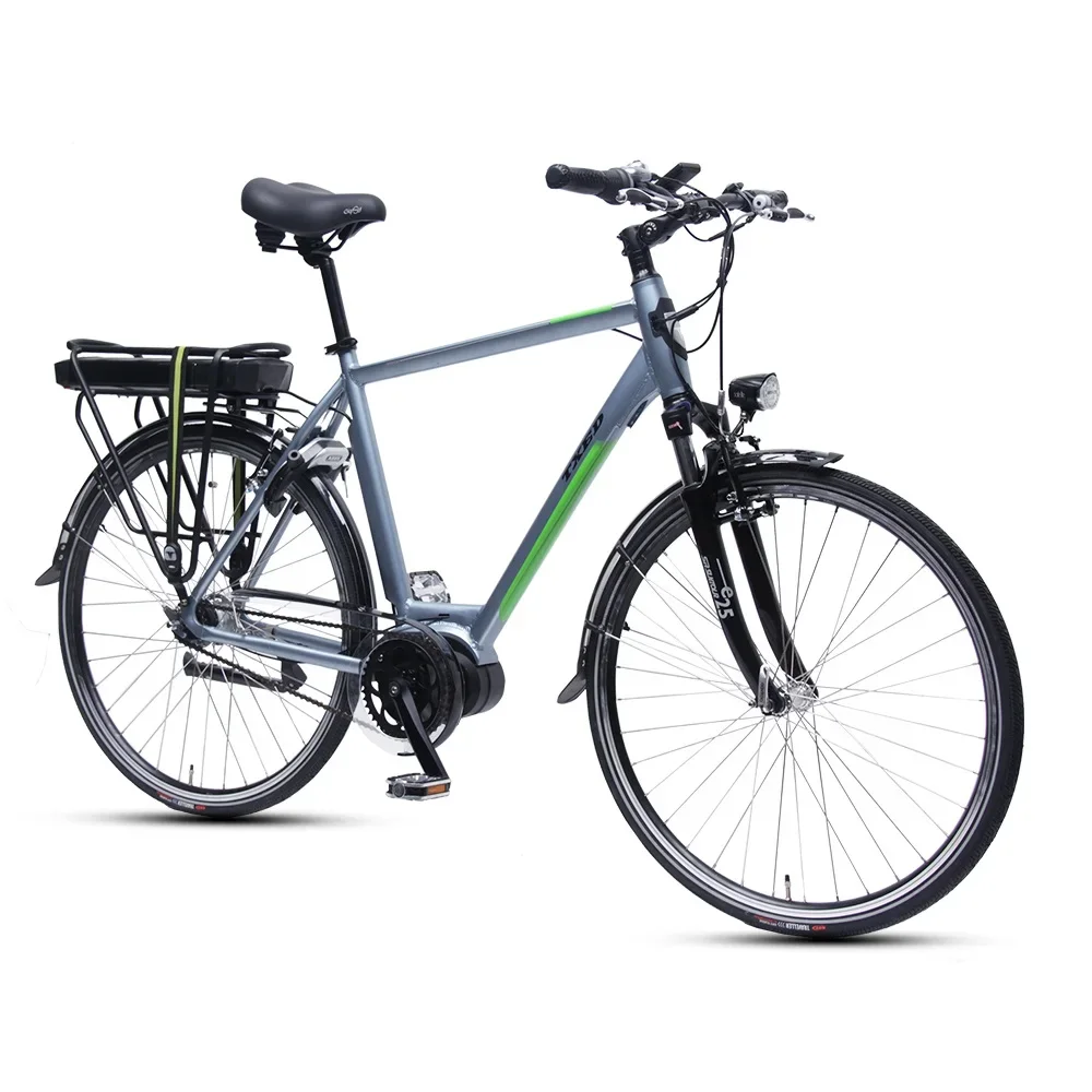 Adult 250w Motor Electric Bicycle 36v E-bike